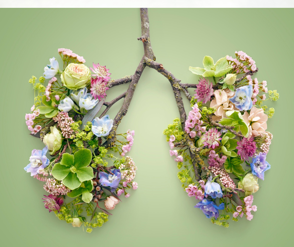 Lung flowers